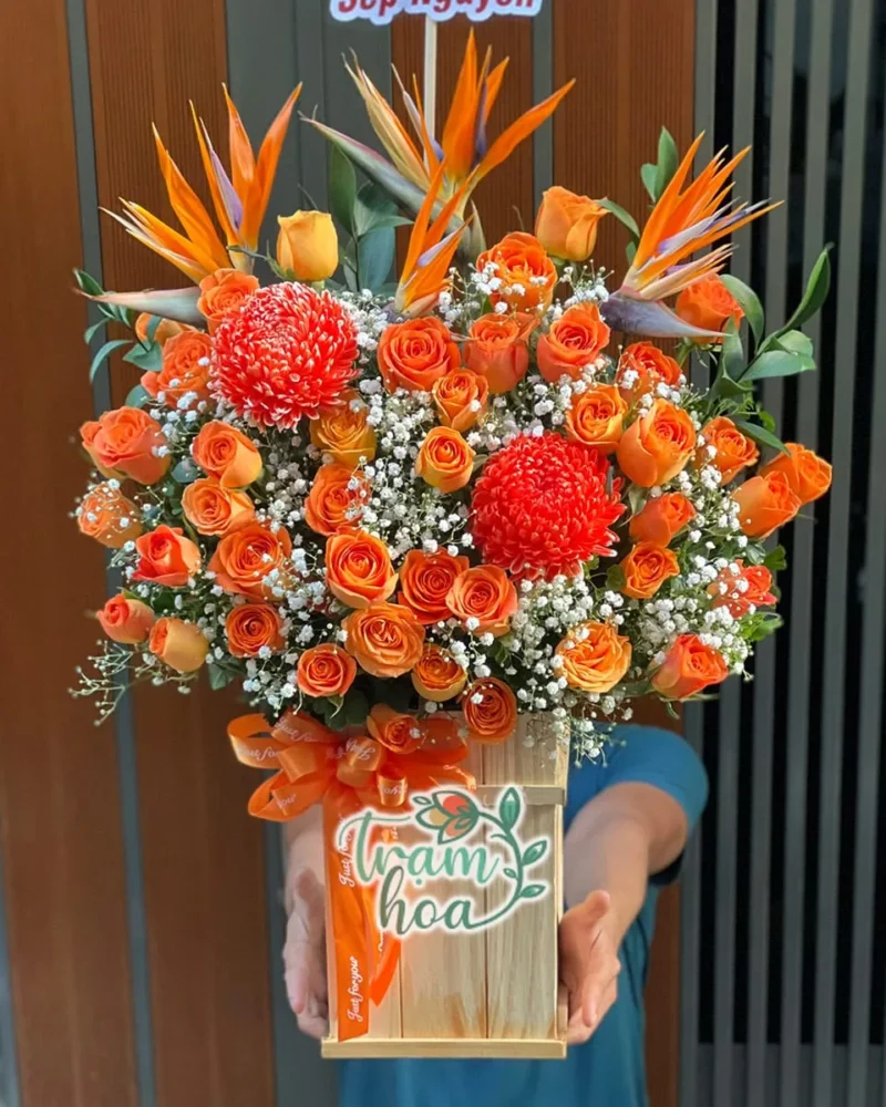 Vươn Cao