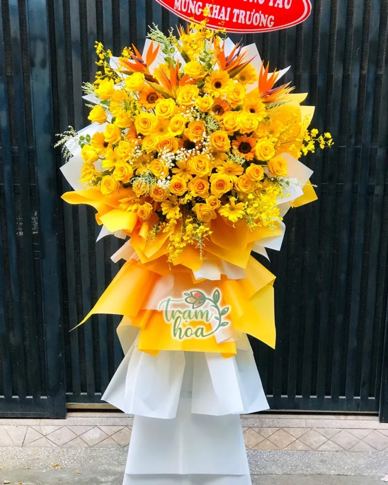 ke hoa khai truong kt115 vung vang 1