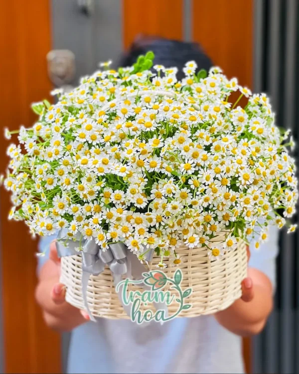 E Thẹn