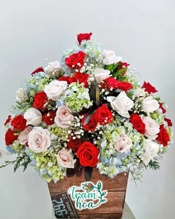 Đầy Đặn