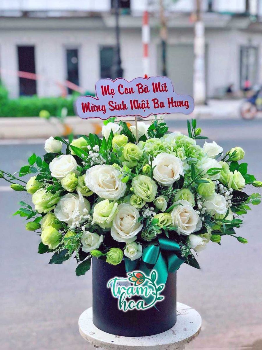 Hoa Hop Go TH H103 Hoa Hop Go TH H103