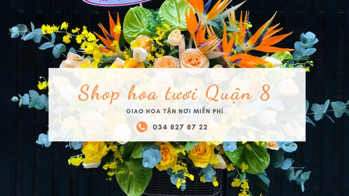 shop hoa tuoi quan 8 Shop hoa tươi Quận 8 - Trạm Hoa Quận 8 hỗ trợ giao hoa tận nơi