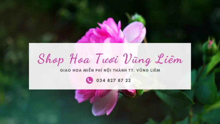 Shop hoa tươi Vũng Liêm