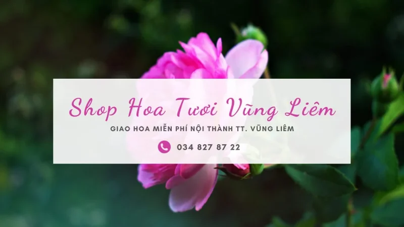 Shop hoa tươi Vũng Liêm