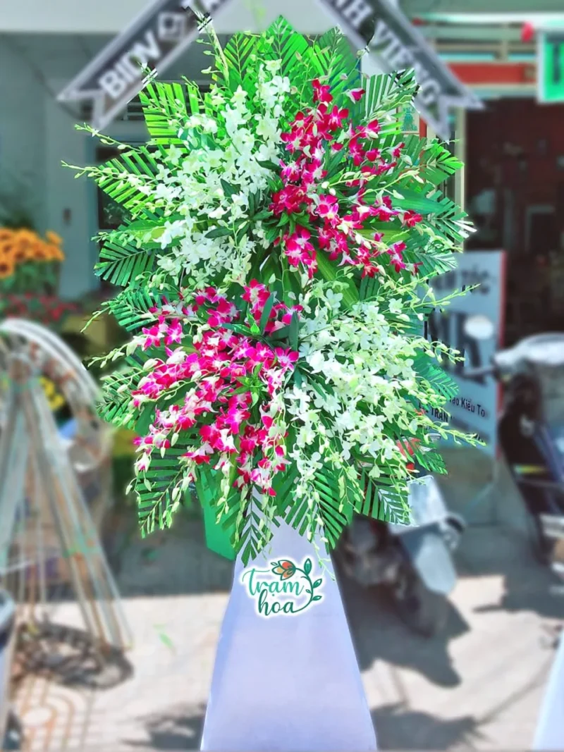 Hoa Chia Buon TH CB084