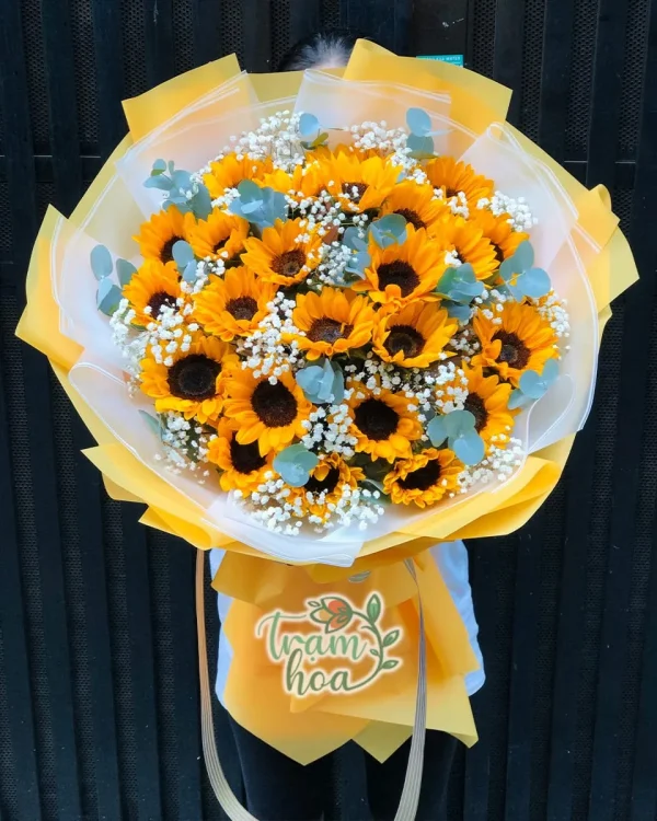 Bầu Trời