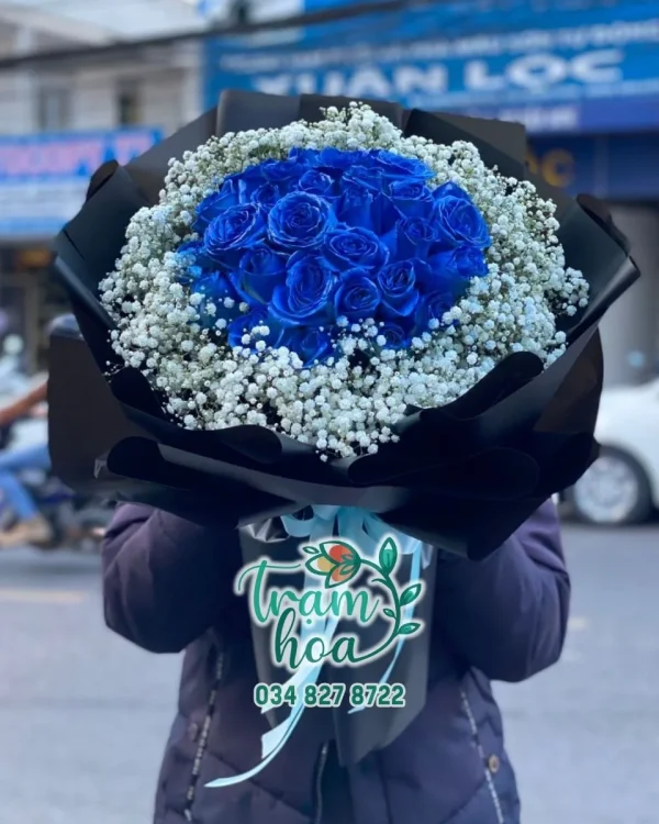 Ngày Đẹp Trời