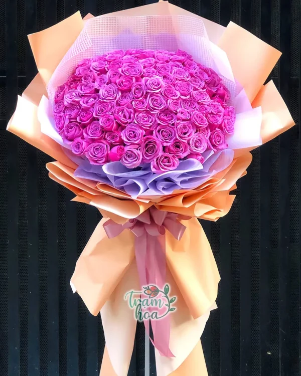 100 Bông Hồng Tím