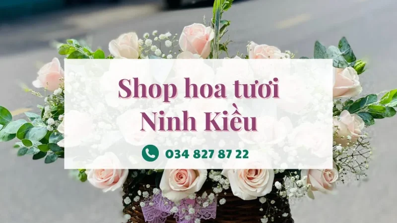 Shop hoa tươi Ninh Kiều - Trạm Hoa Ninh Kiều