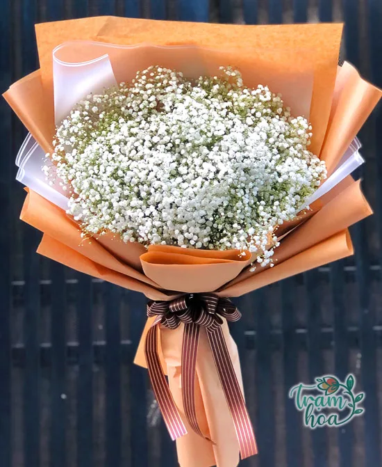 bo hoa baby trang co nhieu muc gia khac nhau Bó hoa baby trắng có nhiều mức giá khác nhau