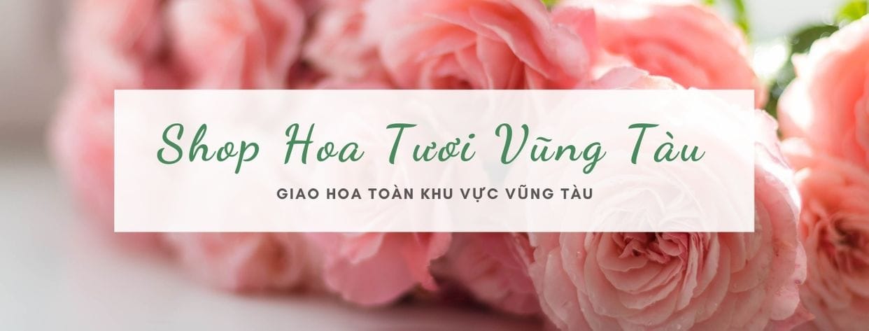 Hoa tươi giá rẻ tại Bà Rịa Vũng Tàu - Giao hoa tận nơi