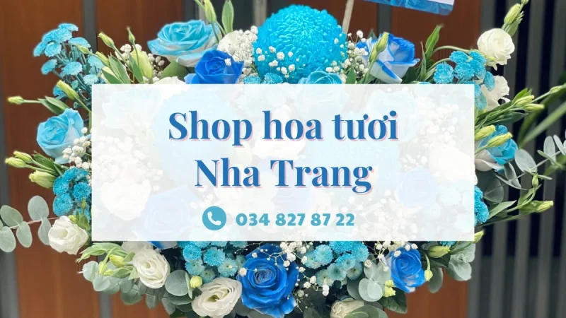 Shop hoa tươi Nha Trang
