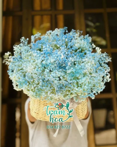 Giỏ Hoa Xinh