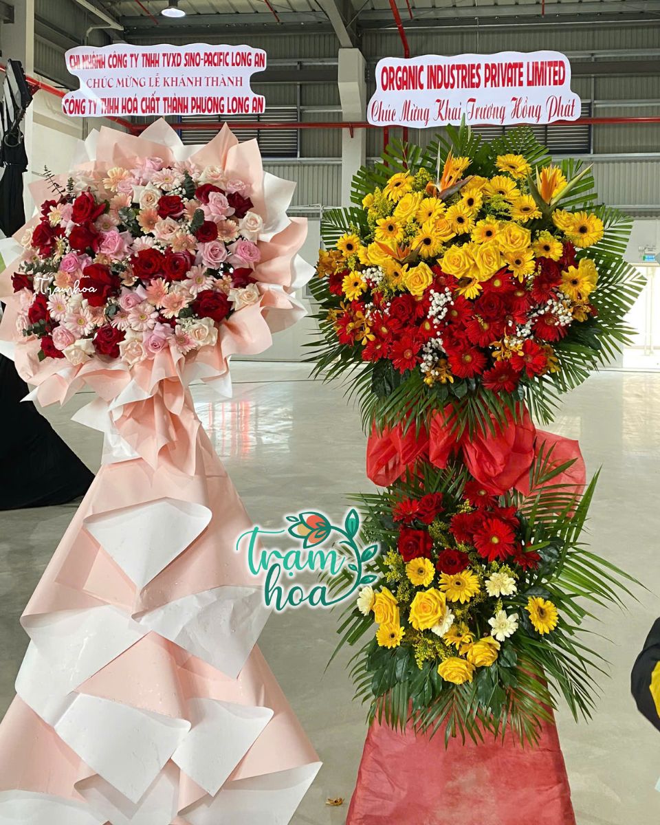 Hoa khai truong dep tai shop hoa tuoi Dong Thap Hoa khai trương đẹp tại shop hoa tươi Đồng Tháp