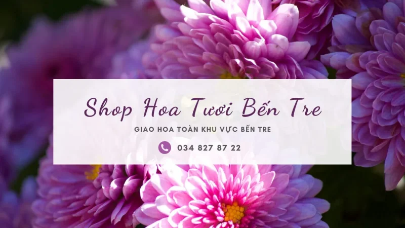 Shop hoa tươi Bến Tre