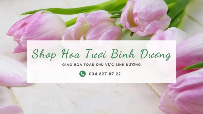 Shop Hoa Tươi Bình Dương