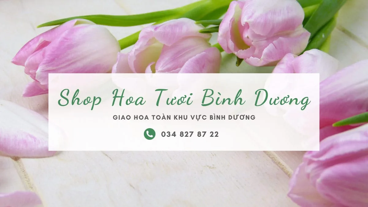 Shop Hoa Tươi Bình Dương
