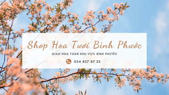 Shop Hoa Tươi Bình Phước