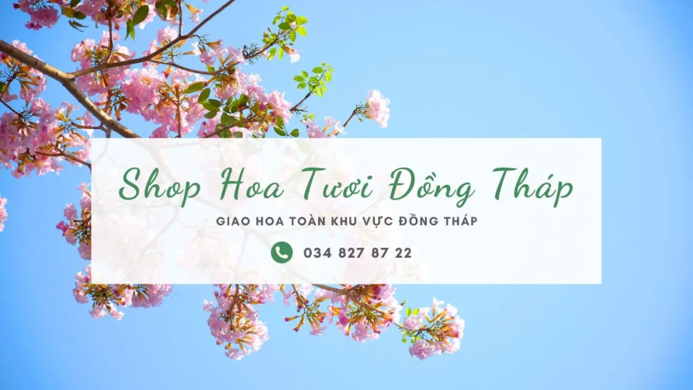 Shop Hoa Tươi Đồng Tháp