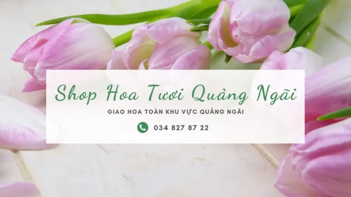 Shop Hoa Tươi Quảng Ngãi
