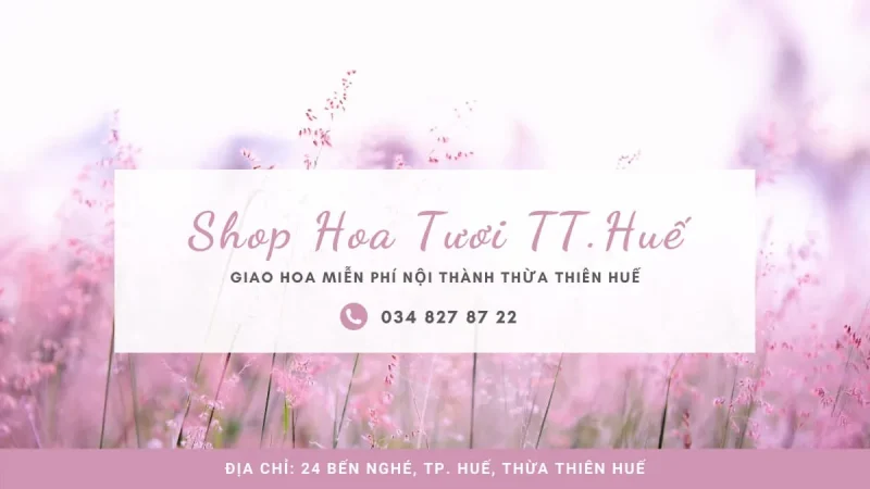 shop hoa tuoi thua thien hue