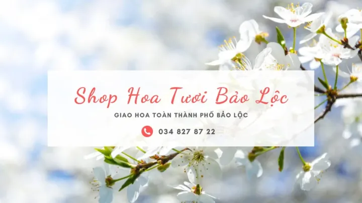 Shop Hoa Tươi Bảo Lộc