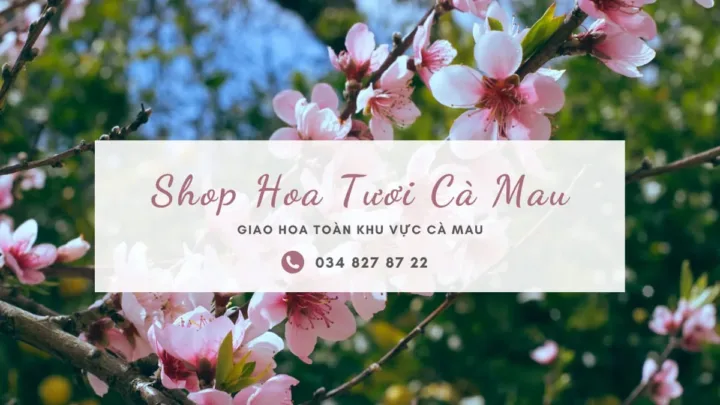 Shop hoa tươi Cà Mau