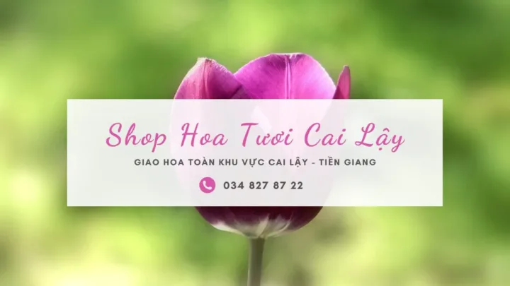 Shop hoa tươi Cai Lậy