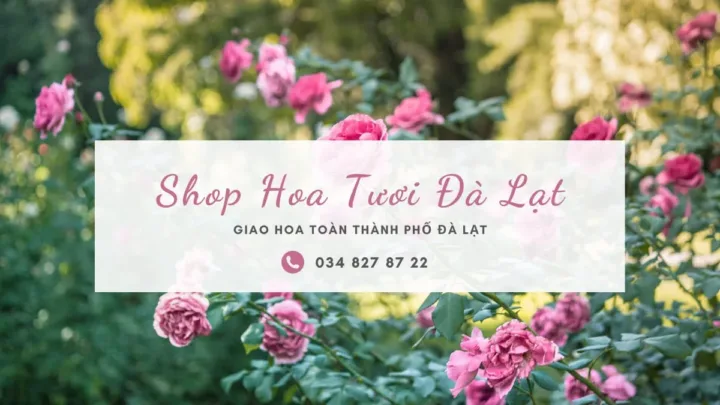 Shop hoa tươi Đà Lạt