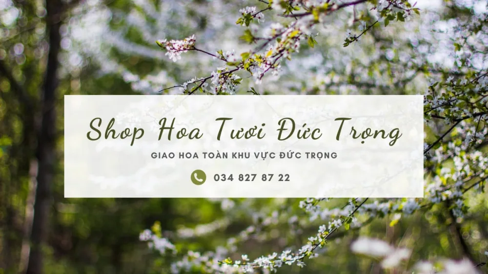 Shop hoa tươi Đức Trọng
