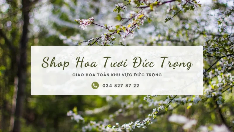 Shop hoa tươi Đức Trọng