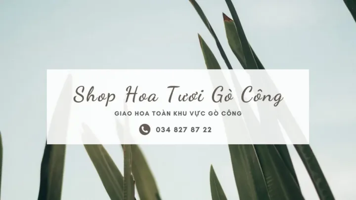 Shop hoa tươi Gò Công