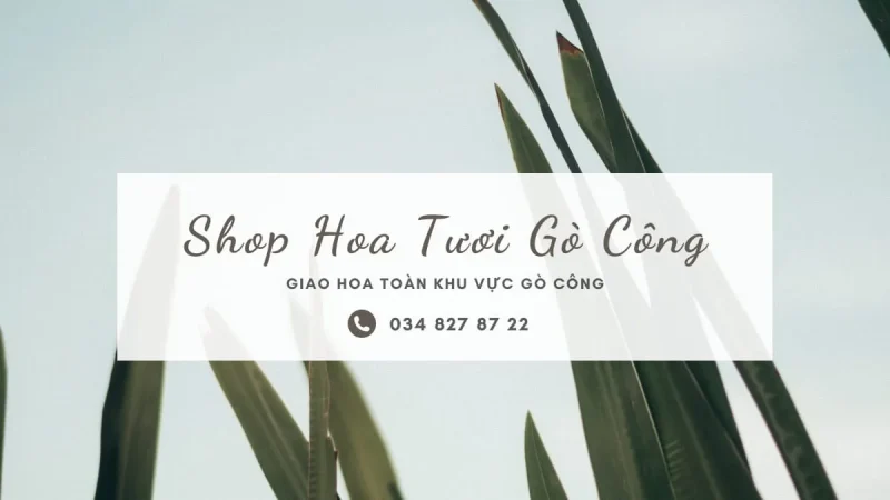 Shop hoa tươi Gò Công