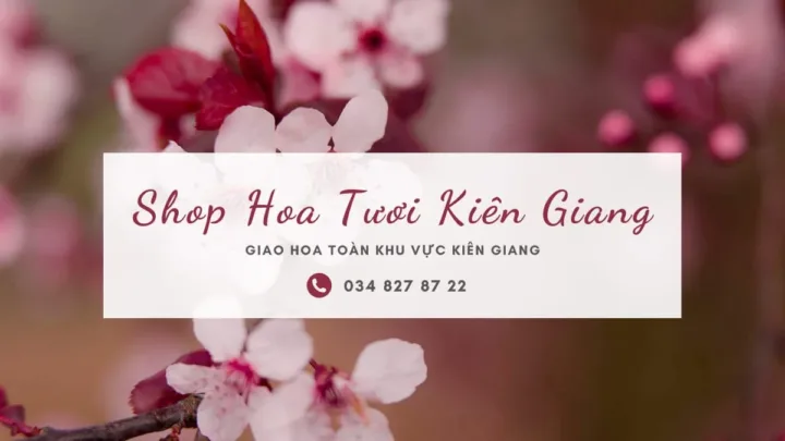 Shop Hoa Tươi Kiên Giang