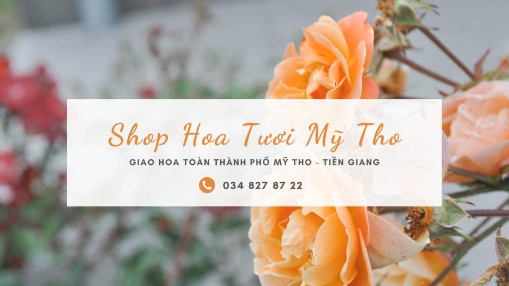 Shop hoa tươi Mỹ Tho