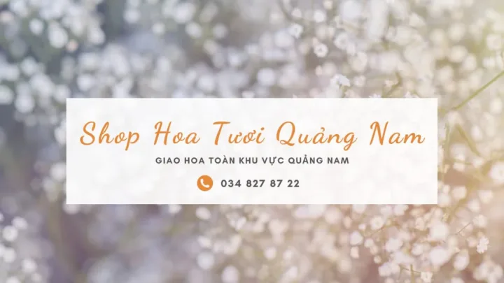 shop hoa tuoi quang nam Shop Hoa Tươi Quảng Nam