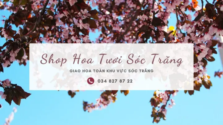 Shop hoa tươi Sóc Trăng