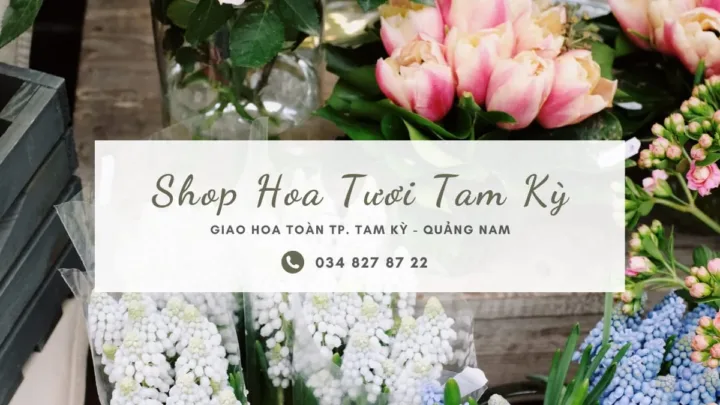 Shop hoa tươi Tam Kỳ