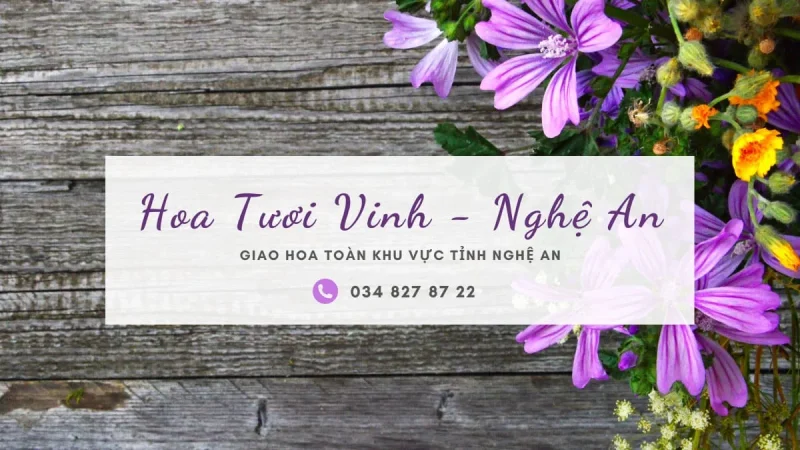 Shop hoa tươi Vinh - Nghệ An