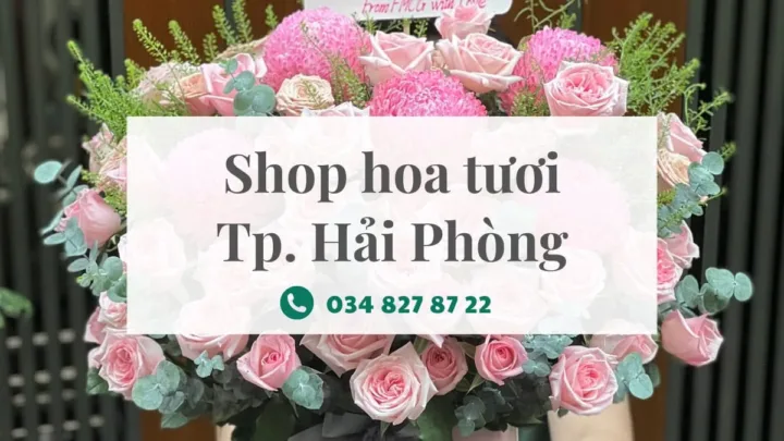 shop hoa tuoi thanh pho hai phong