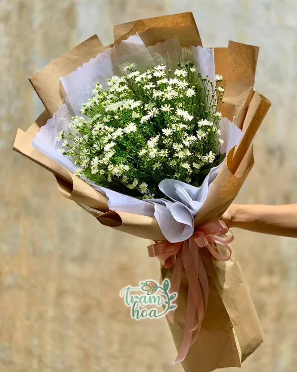 Thạch Thảo Trắng