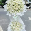 Tiếc Nuối