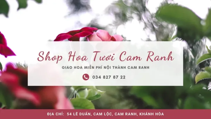 Shop hoa tươi ở Cam Ranh