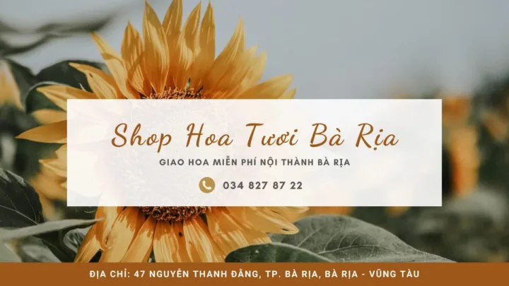 Shop hoa tươi Bà Rịa - Trạm Hoa Bà Rịa