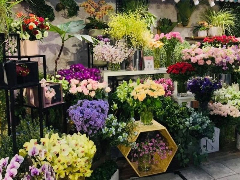 Giá cả hoa tươi tỉnh thích hợp ví tiền bên trên cửa hàng hoa biên hòa