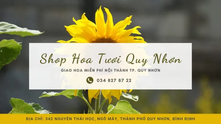 Shop hoa tươi Quy Nhơn