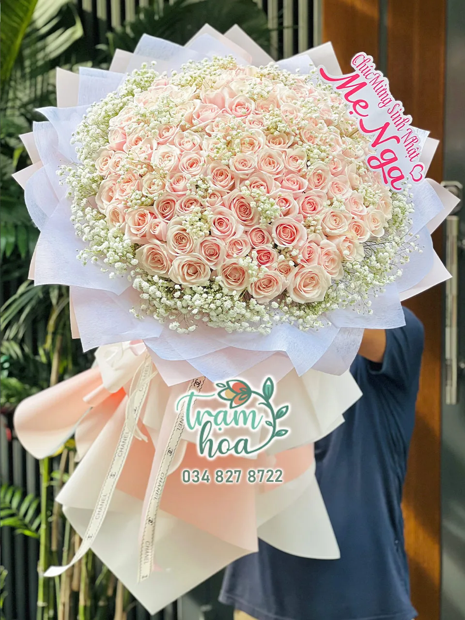 Hồng Hạnh Phúc - Ảnh 3