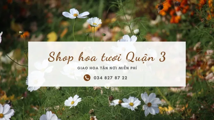 Shop hoa tươi Quận 3