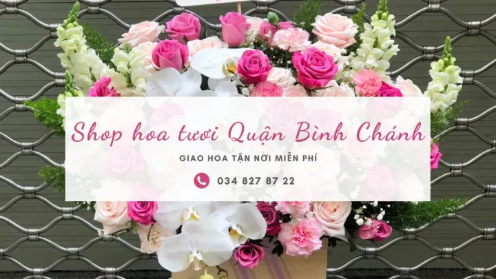 Shop hoa tươi Quận Bình Chánh