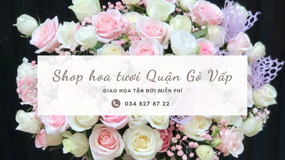 Shop hoa tươi Quận Gò Vấp